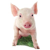 MasterPieces Pig 100 Piece Shaped Jigsaw Puzzle