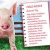 MasterPieces Pig 100 Piece Shaped Jigsaw Puzzle