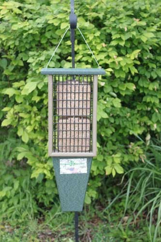 Songbird Essentials Double Suet Feeder Hunter Green Driftwood