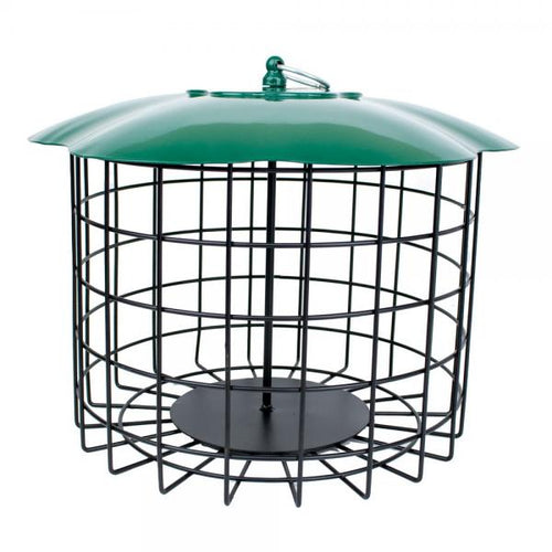 Backyard Essentials Squirrel Defeater Seed Log Feeder