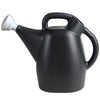 Chapin 47998 2 Gallon Tru-Stream 100% Recycled Plastic Watering Can