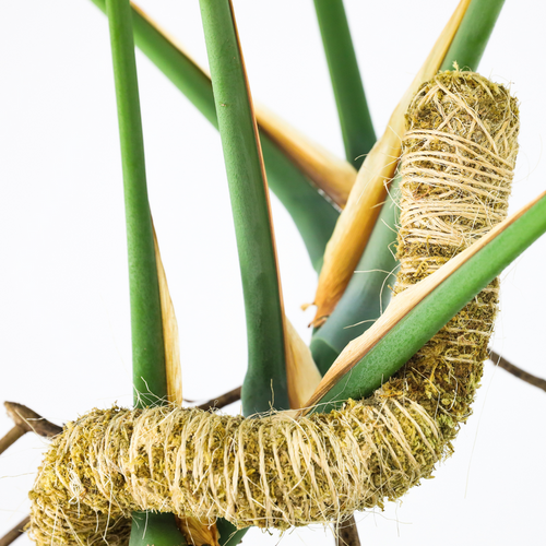 Mossify The Original Bendable Moss Pole™