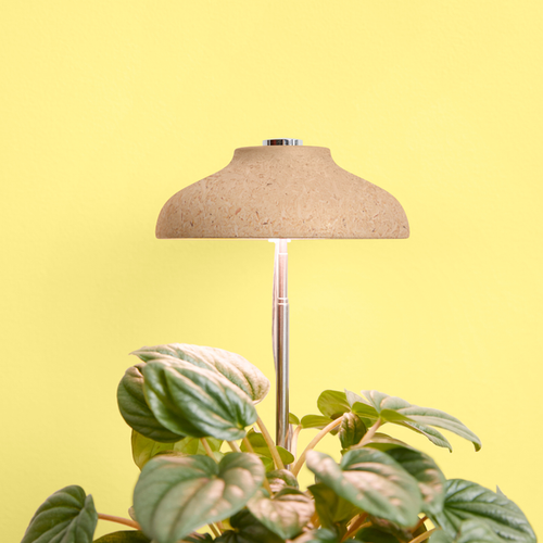 We The Wild Instant Sun Houseplant Grow Lamp