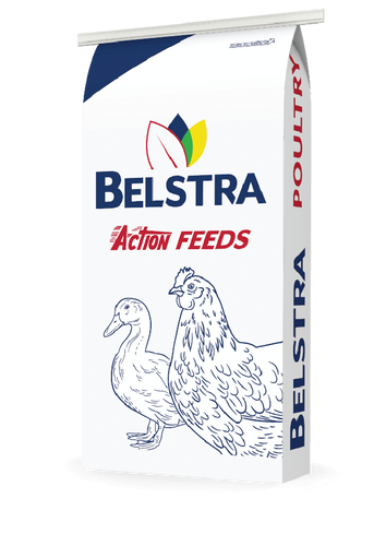Belstra Action Feeds Layer Crumble