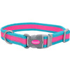 Coastal Pet Pro Reflective Adjustable Dog Collar (Fuscia with Teal, 8-12 x 3/4)